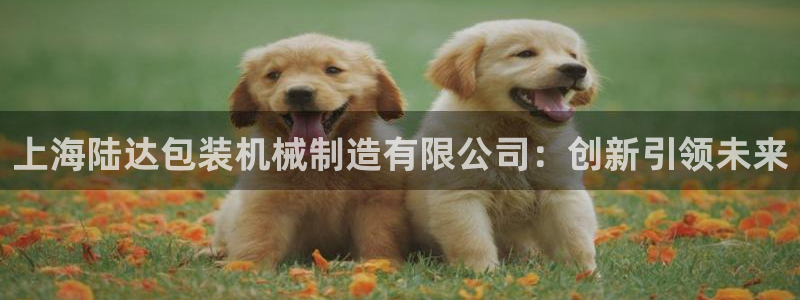 摩根时代资阳娱乐场所