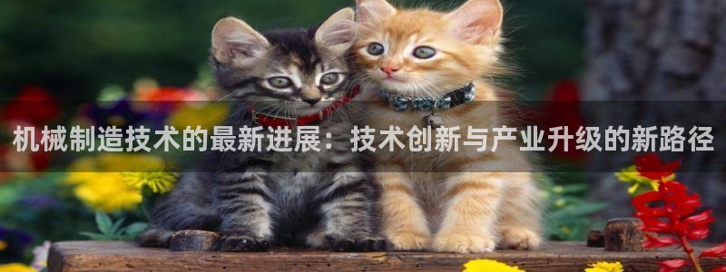 摩根合约娱乐宝
