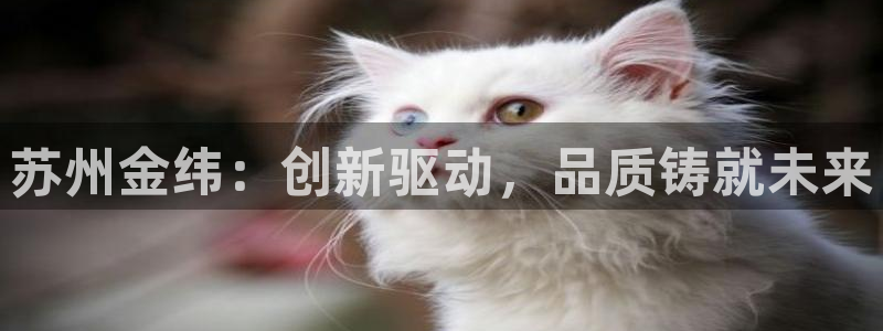 摩根国际娱乐宝在哪里