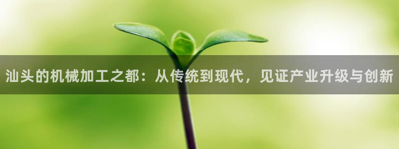 白宫摩根会娱乐会所