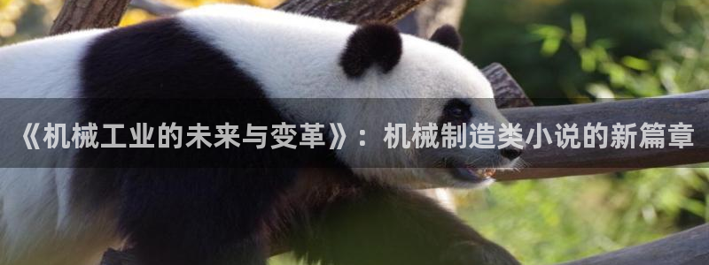 摩根国际娱乐宝合法吗