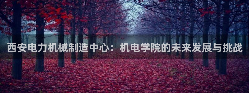 芜湖摩根一百有哪些娱乐