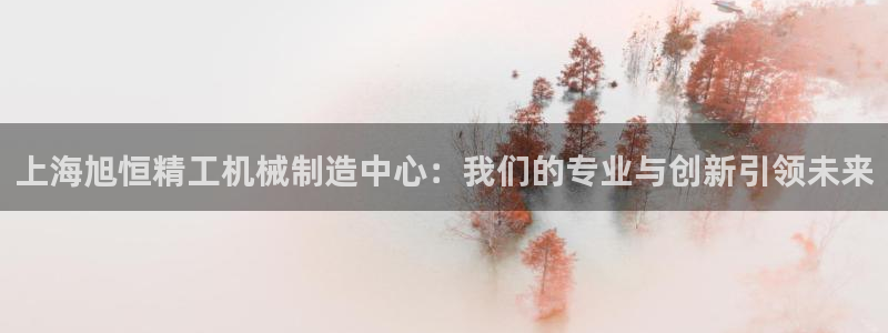 华视娱乐摩根王琛