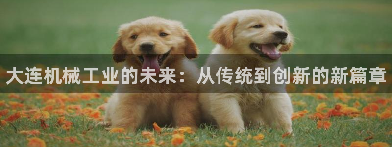 华视娱乐 摩根 王琛