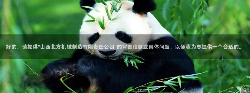 摩根大通王者娱乐