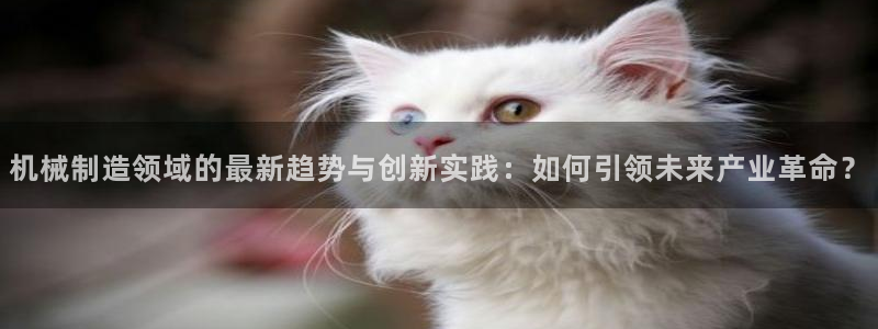 摩根娱乐宝招商