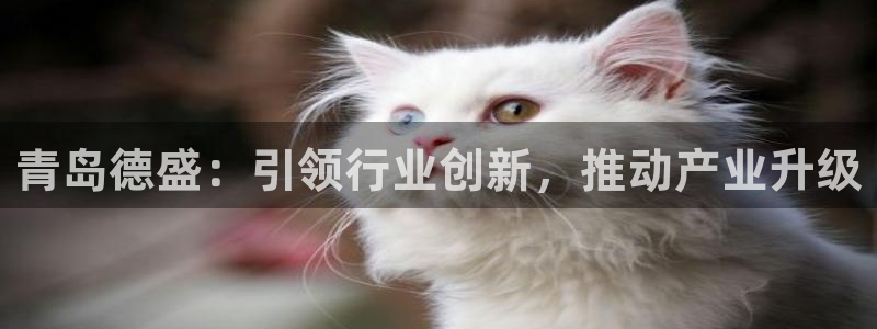 摩根娱乐宝口碑