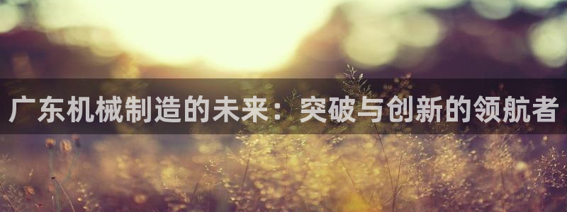 摩根娱乐50186加