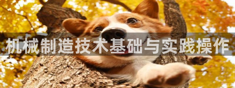 摩根 娱乐宝骗了我