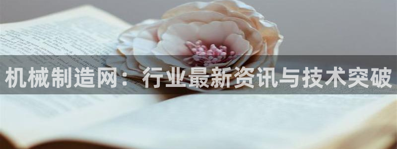 摩根娱乐视频大全