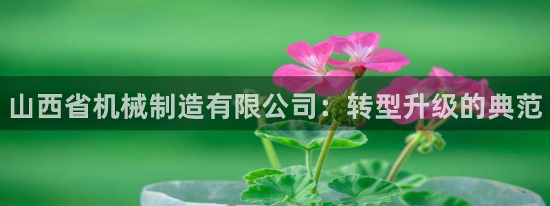 摩根娱乐宝邀请码