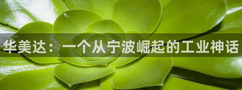 武汉摩根众睿娱乐