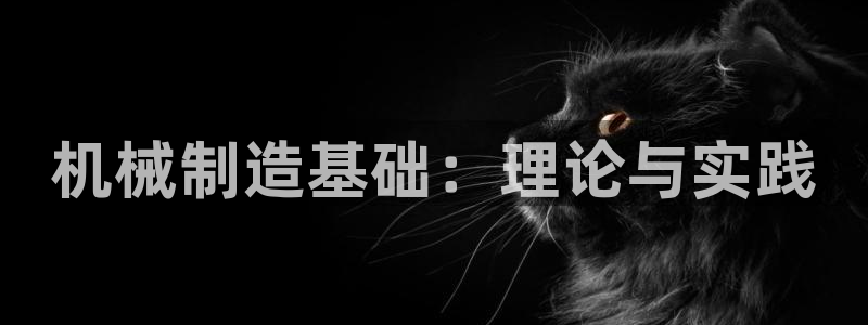 摩根娱乐黑别人网站